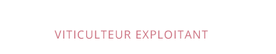 Domaine Pierre Gelin - Fixin